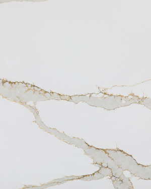 Calacatta Classico Quartz