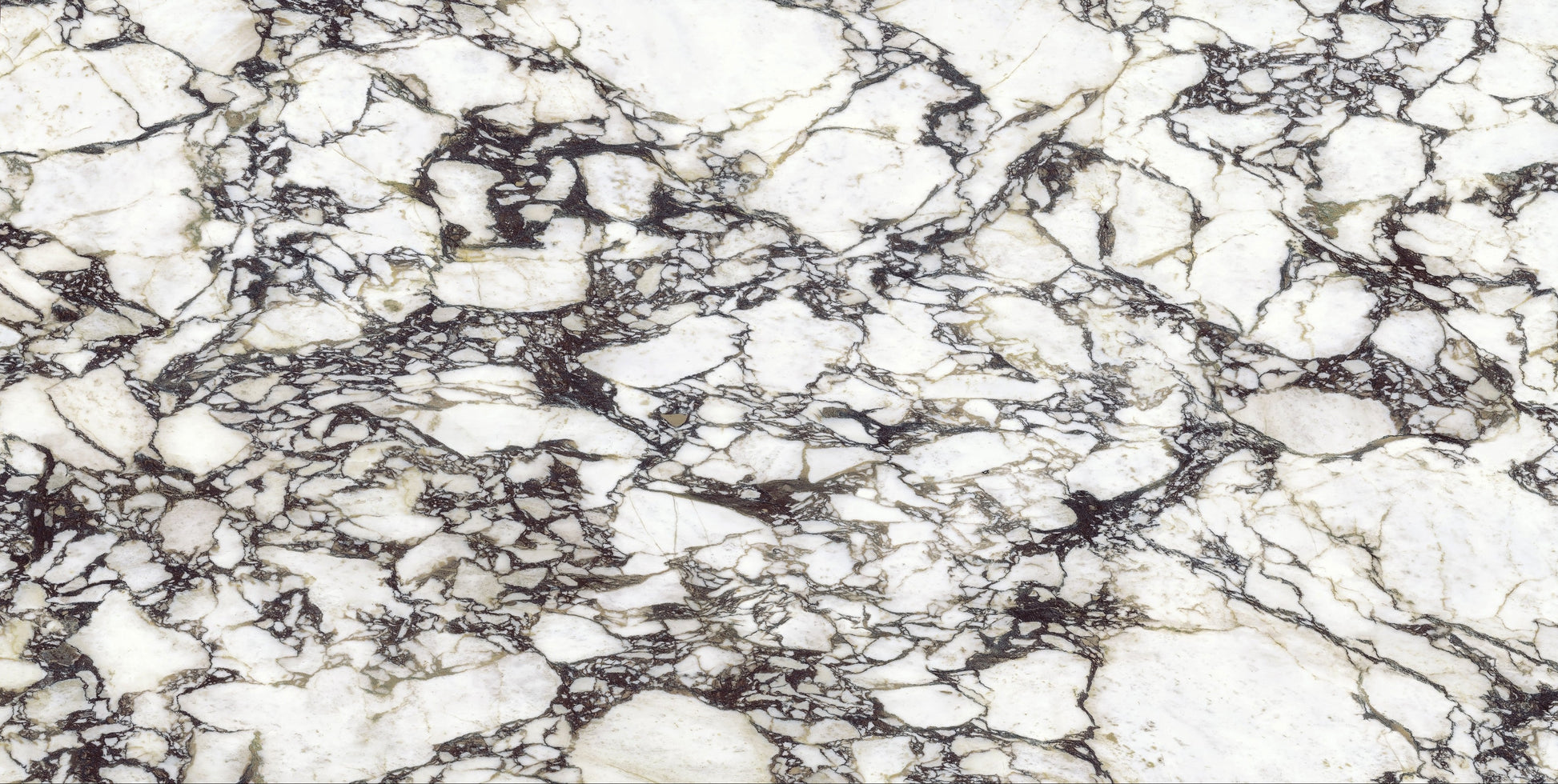 Close-up of a marble-like surface with white and gray patterns