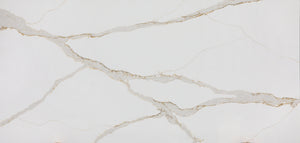 Calacatta Classico Quartz