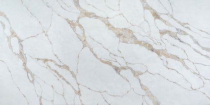 Calacatta Massa Quartz