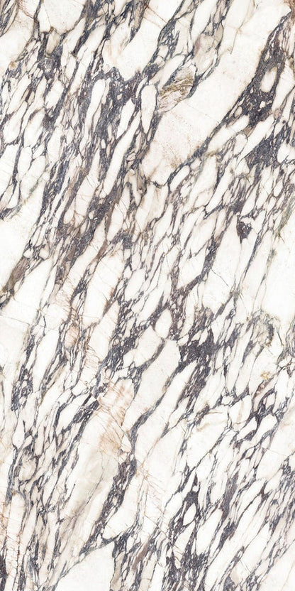 Sapienstone Fior Di Viola 4D