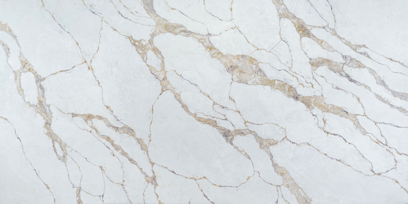 Calacatta Massa Quartz