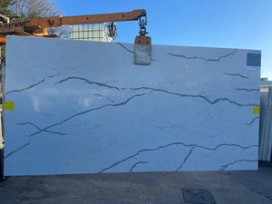 Astonia Grey