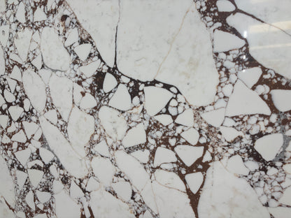 Calacatta Viola