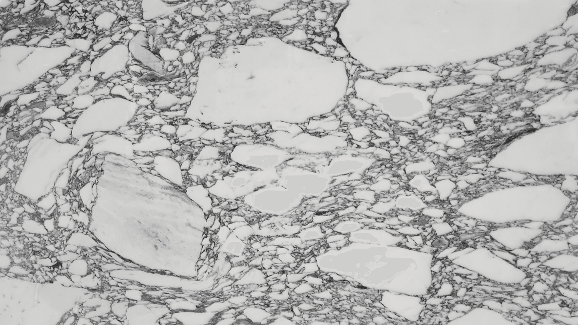 Arabescato Corchia Marble