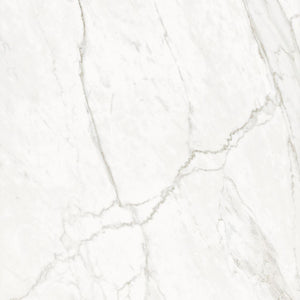 Ceralsio Grassi White