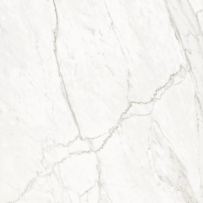 Ceralsio Grassi White